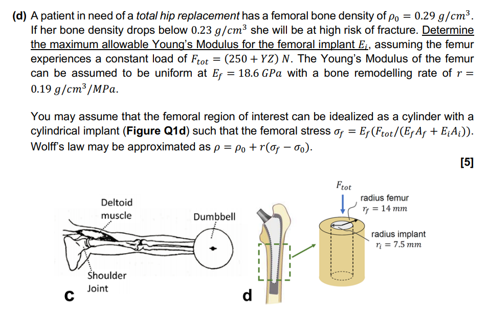 D A Patient In Need Of A Total Hip Replacement Has A Femoral Bone Density Of Po 0 29 G Cm If Her Bone Density Dr 1