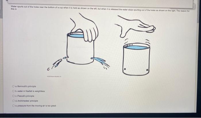 Waterspurts Out Of The Holes Near The Bottom Of A Cup When It Is Held As Shown On The Left But When The Released The Wa 1