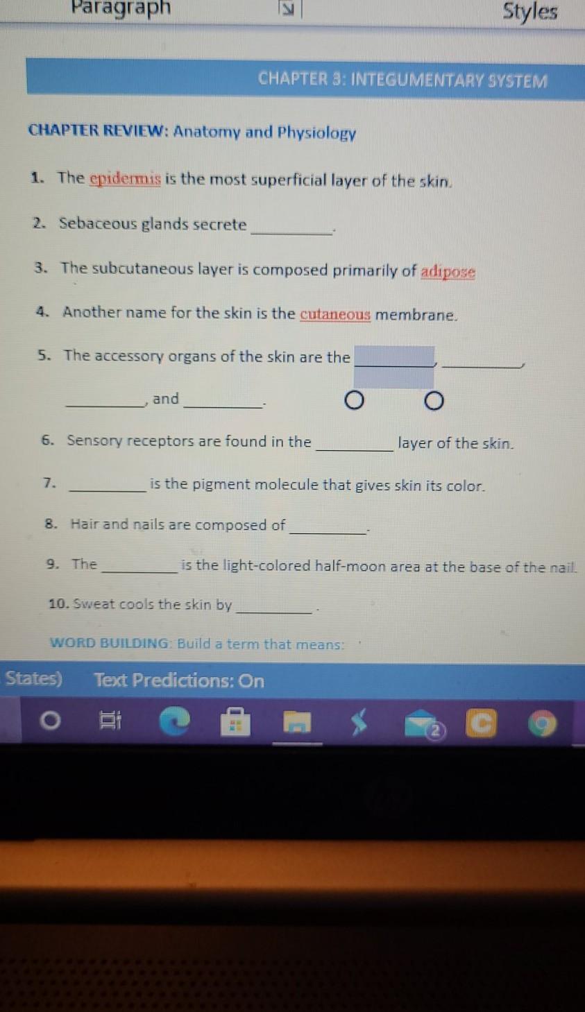 Paragraph Styles Chapter 3 Integumentary System Chapter Review Anatomy And Physiology 1 The Epidermis Is The Most Sup 1