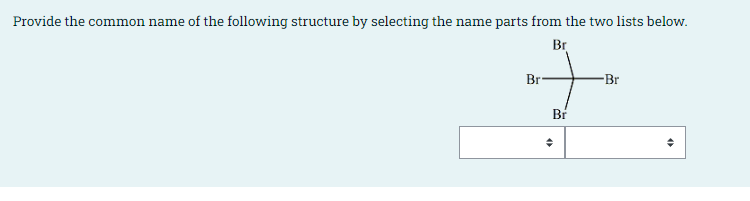I Just Need The Answers 1