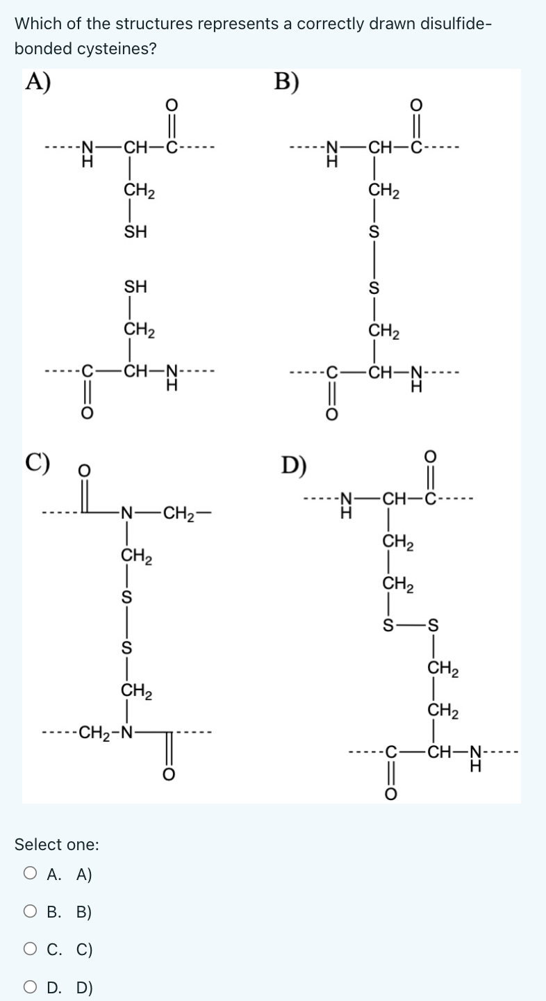 Which Of The Structures Represents A Correctly Drawn Disulfide Bonded Cysteines A B O Ii Ch N Ch C Ch2 Ch2 Sh S S S 1
