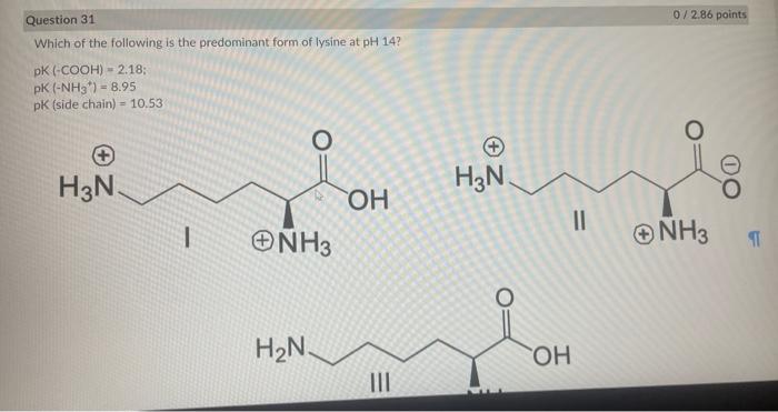 Question 31 0 2 86 Points Which Of The Following Is The Predominant Form Of Lysine At Ph 14 Pk Cooh 2 18 Pk Nh3 1