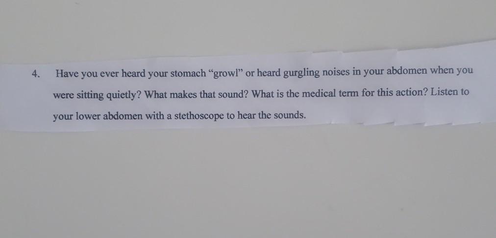 4 Have You Ever Heard Your Stomach Growl Or Heard Gurgling Noises In Your Abdomen When You Were Sitting Quietly What 1