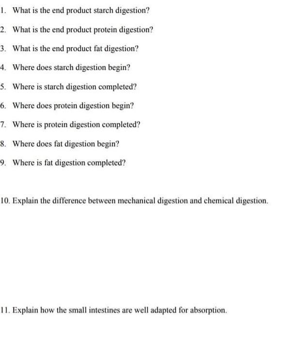 1 What Is The End Product Starch Digestion 2 What Is The End Product Protein Digestion 3 What Is The End Product Fa 1