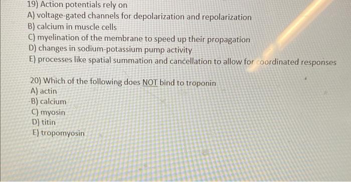 Select All Correct Answers 16 What Characteristics Would Increase A Given Muscle S Range Of Motion A An Increased Num 2