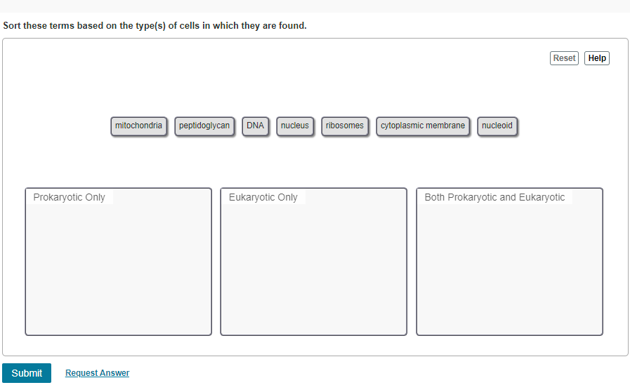 Sort These Terms Based On The Type S Of Cells In Which They Are Found Reset Help Mitochondria Peptidoglycan Dna Nucleu 1