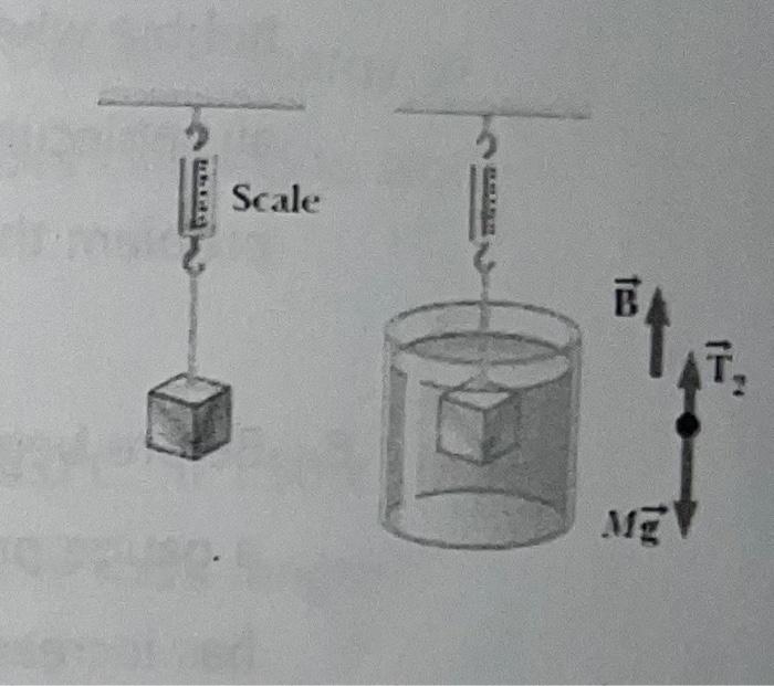 When Suspended From A Spring Scale In Air The Gravitational Force Exerted On An Object Is 8 N See Figure Upon Suspen 1