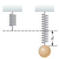 A Physics Teacher Has Suspended A Spring From A Ceiling When An Object Is Attached To The Spring S Bottom End The Spri 1