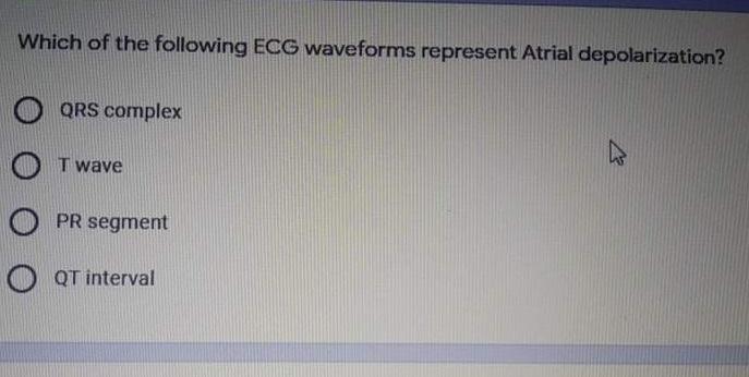 Which Of The Following Ecg Waveforms Represent Atrial Depolarization Qrs Complex T Wave Pr Segment O Qt Interval A Cl 1