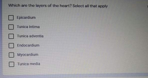Ume A Receptor That Causes Vasodilation Is O Alpha 1 Adrenergic Receptor Alpha 2 Adrenergic Receptor O Beta 1 Adrenergic 2