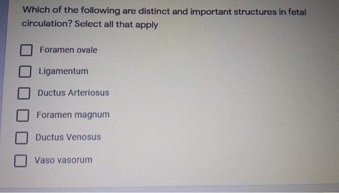 Ume A Receptor That Causes Vasodilation Is O Alpha 1 Adrenergic Receptor Alpha 2 Adrenergic Receptor O Beta 1 Adrenergic 8