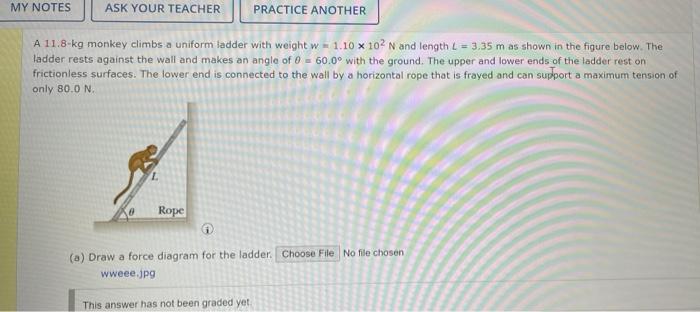 Id Hoa Tour Teacher Caruimer Arm With 10x10 Na Show The Bow The Ideal De 600 With The And Lower End Of The Rest Of The 2