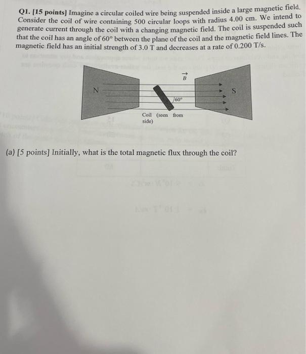 Q1 15 Points Imagine A Circular Coiled Wire Being Suspended Inside A Large Magnetic Field Consider The Coil Of Wire 1