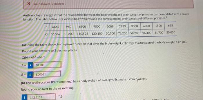 Your Answer Is Incorrect Anthropologists Suggest That The Relationship Between The Body Weight And Brain Weight Of Pri 1