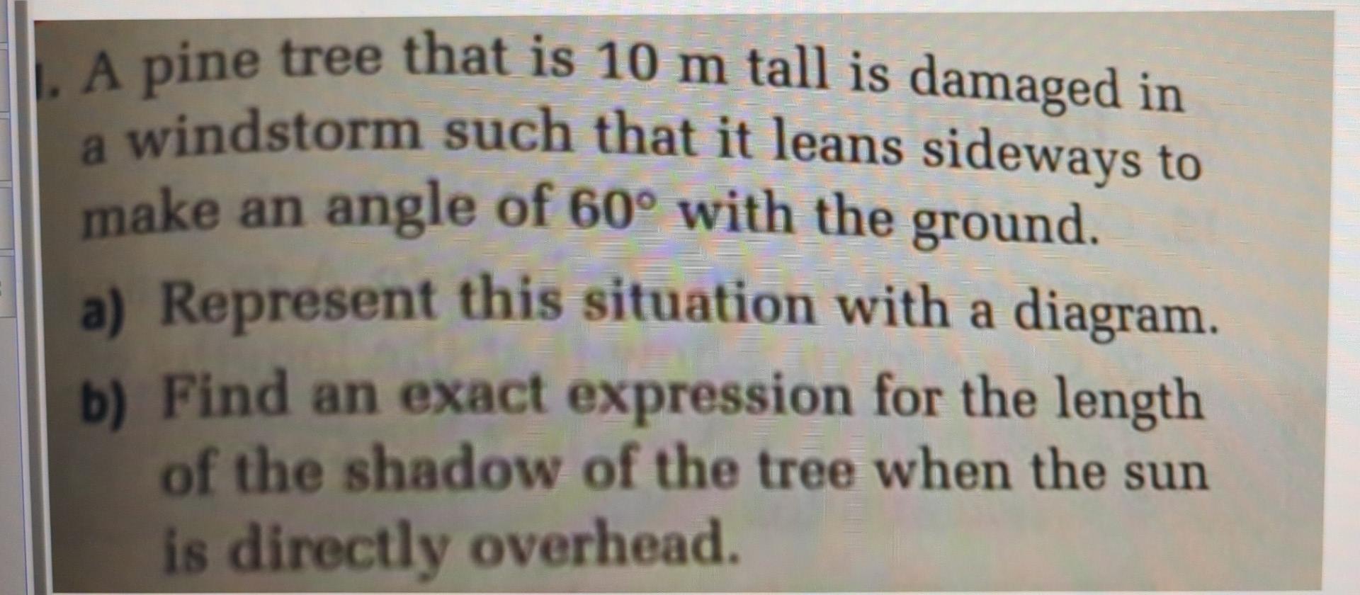 A Pine Tree That Is 10 M Tall Is Damaged In A Windstorm Such That It Leans Sideways To Make An Angle Of 60 With The Gro 1