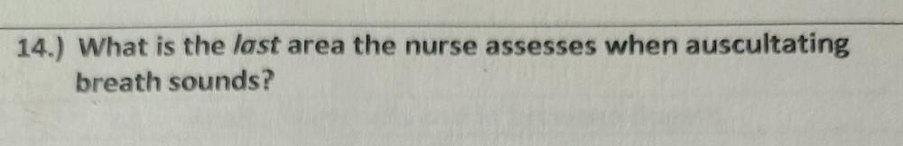 14 What Is The Last Area The Nurse Assesses When Auscultating Breath Sounds 1