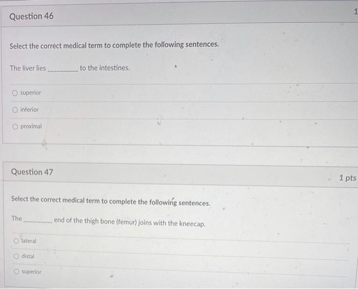 D Question 40 Select The Correct Meaning For The Following Word Parts Eal O Pertaining To Formation Of O Bodies D Que 4