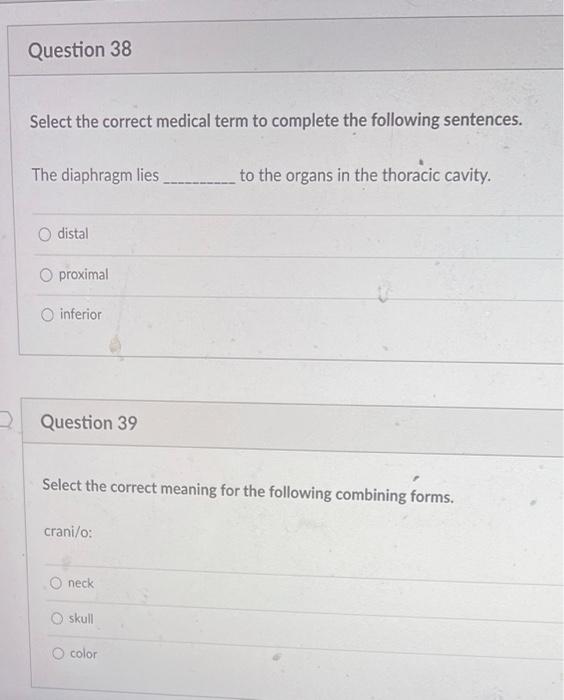 Question 30 1 Pts Select The Term That Is Spelled Correctly Endocrine Gland At The Base Of The Brain Pitiutary Pituita 5