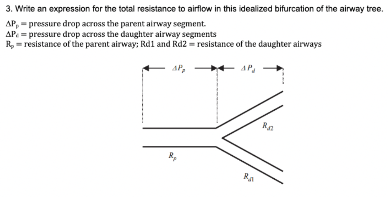 3 Write An Expression For The Total Resistance To Airflow In This Idealized Bifurcation Of The Airway Tree App Press 1