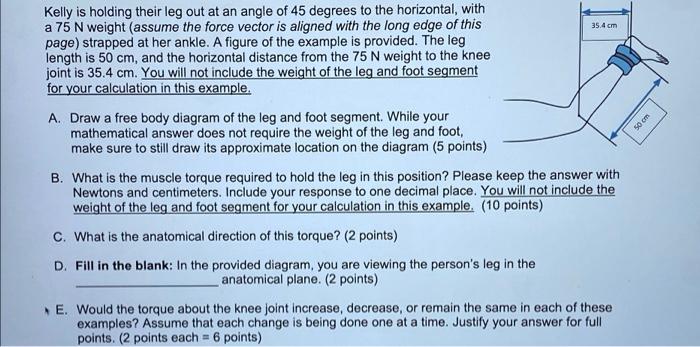 Kelly Is Holding Their Leg Out At An Angle Of 45 Degrees To The Horizontal With A 75 N Weight Assume The Force Vector 1