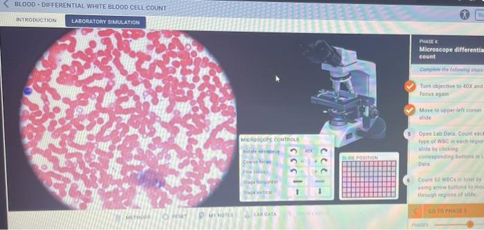 Blood Differential White Blood Cell Count Introduction Laboratory Simulation Phase Microscope Differentia Count Turn O 1