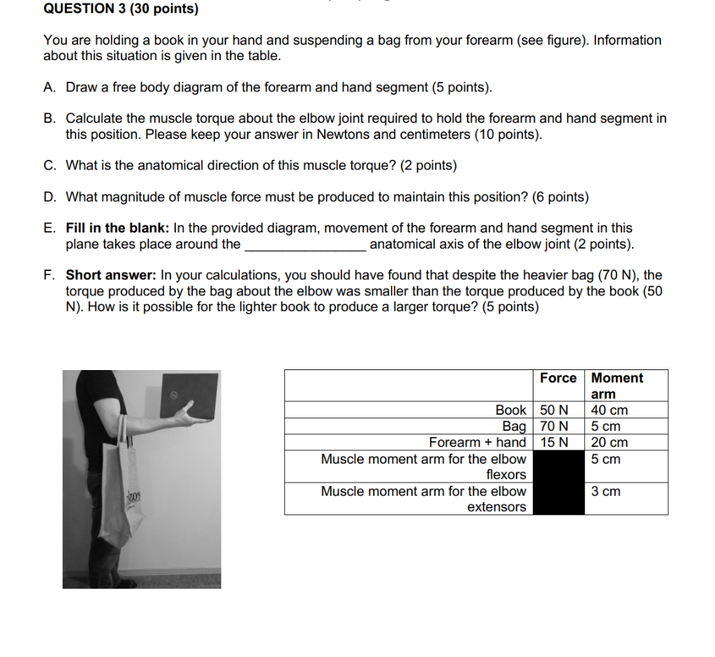 Question 3 30 Points You Are Holding A Book In Your Hand And Suspending A Bag From Your Forearm See Figure Informat 1