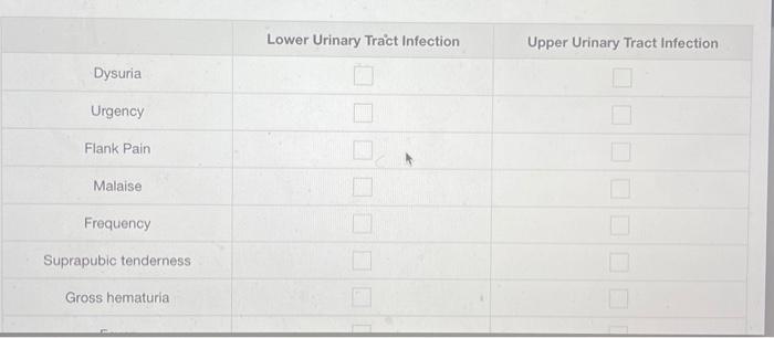 Lower Urinary Tract Infection Upper Urinary Tract Infection Dysuria Urgency Flank Pain Malaise Frequency Suprapubic Tend 1
