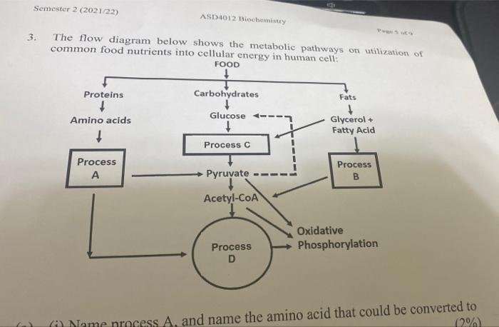 Semester 2 2021 22 Asd4012 Biochemistry Pansiy 3 The Flow Diagram Below Shows The Metabolic Pathways On Utilization O 1