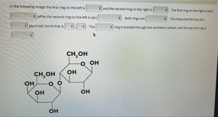 In The Following Image The First Ring On The Left Is While The Second Ring On The Left Is A N Glycocidic Bond That Is 1