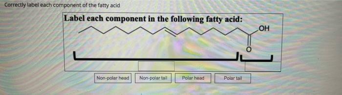 Correctly Label Each Component Of The Fatty Acid Label Each Component In The Following Fatty Acid Non Polar Head Non Po 1