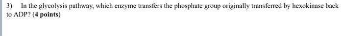 3 In The Glycolysis Pathway Which Enzyme Transfers The Phosphate Group Originally Transferred By Hexokinase Back To Ad 1