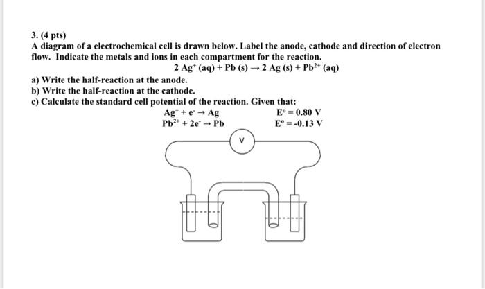 3 4 Pts A Diagram Of A Electrochemical Cell Is Drawn Below Label The Anode Cathode And Direction Of Electron Flow 1