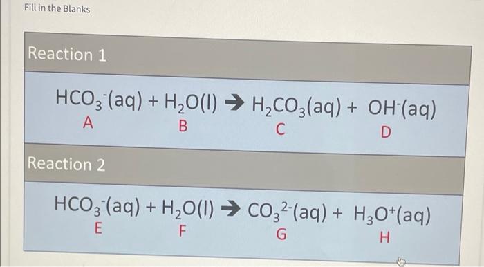 Fill In The Blanks Reaction 1 Hco3 Aq H O 1 H Co3 Aq Oh Aq A B C D Reaction 2 Hco3 Aq H O 1 Co32 Aq 1