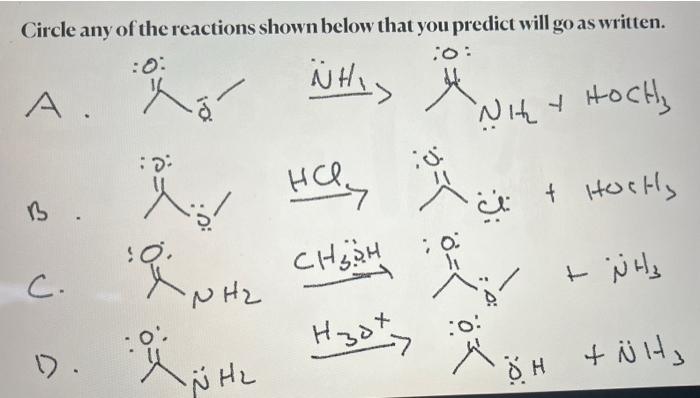 Circle Any Of The Reactions Shown Below That You Predict Will Go As Written 0 O Xo Whis H A Nh S Wit Hochs D 1