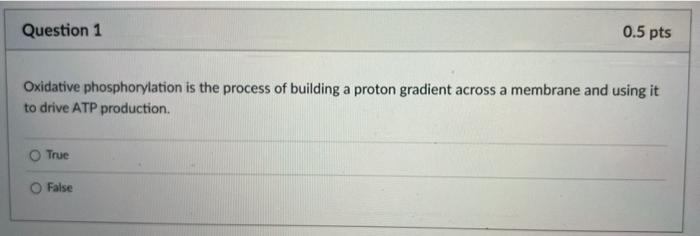 0 5 Pts Question 1 Oxidative Phosphorylation Is The Process Of Building A Proton Gradient Across A Membrane And Using It 1