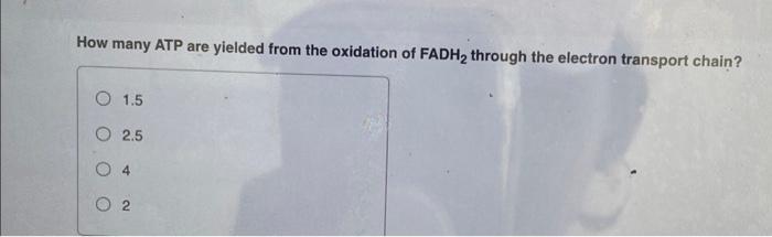 How Many Atp Are Yielded From The Oxidation Of Fadh2 Through The Electron Transport Chain 1 5 2 5 4 2 1
