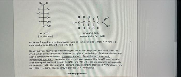 H Ho H H H Oh H Oh Hhhhh Oh H C C C C C C Ch Oh Hhhhh Hexanoic Acid Glucose Carbohydrate Caproic Acid A Fatty Acid 1