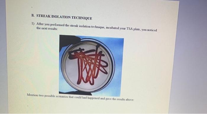 There Ancorare Unless You Need To Edit Sales Stay In Protected Enable Ting Student Name Date Discussion A Gram Stain 5