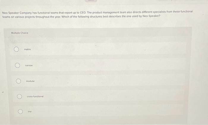 Neo Speaker Company Has Functional Teams That Report Up To Ceo The Product Management Team Also Directs Different Speci 1