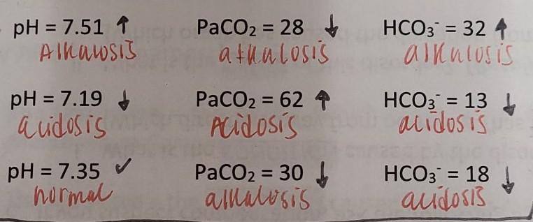 Ph 7 51 1 Alhasis Paco2 28 Athalosis Hco3 324 Ainulosis Ph 7 19 Audosis Paco2 624 Hco3 13 Acidosis Acidosi 1