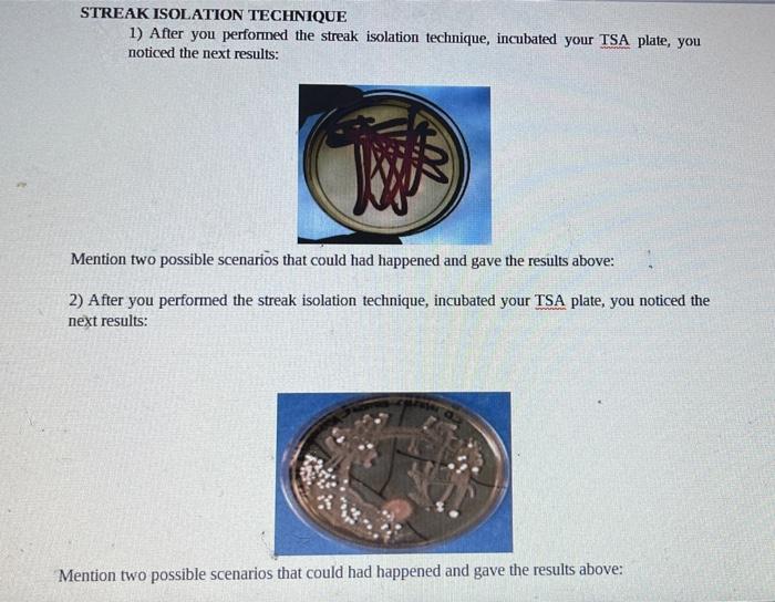 Streak Isolation Technique 1 After You Perfonned The Streak Isolation Technique Incubated Your Tsa Plate You Noticed 1