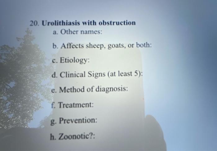 20 Urolithiasis With Obstruction A Other Names B Affects Sheep Goats Or Both C Etiology D Clinical Signs At L 1