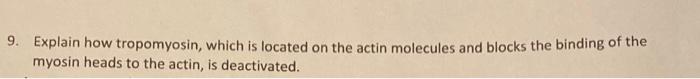 9 Explain How Tropomyosin Which Is Located On The Actin Molecules And Blocks The Binding Of The Myosin Heads To The Ac 1