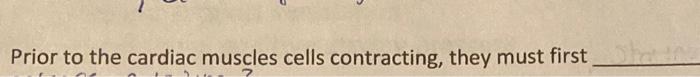 Prior To The Cardiac Muscles Cells Contracting They Must First 1