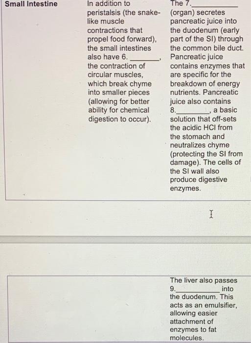 Small Intestine In Addition To The 7 Peristalsis The Snake Organ Secretes Like Muscle Pancreatic Juice Into Contrac 1