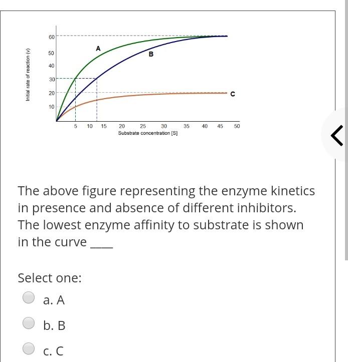 The Metabolic Pathways Can Be Regulated By Select One A Controlling The Rate Of Enzyme Synthesis And Degradation B Al 2