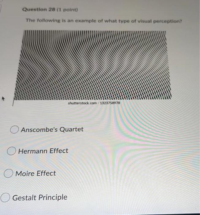Question 28 1 Point The Following Is An Example Of What Type Of Visual Perception Shutterstock Com 1323758978 Ansco 1