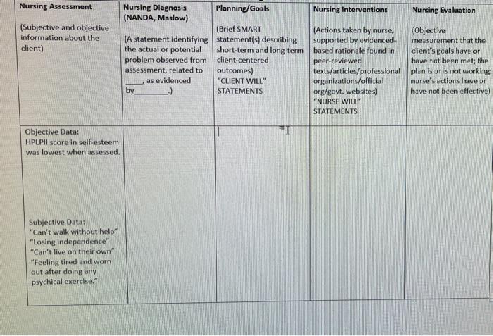 Nursing Assessment Subjective And Objective Information About The Client Nursing Diagnosis Planning Goals Nursing Inte 1