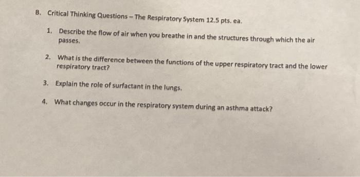 B Critical Thinking Questions The Respiratory System 12 5 Pts Ea 1 Describe The Flow Of Air When You Breathe In An 1