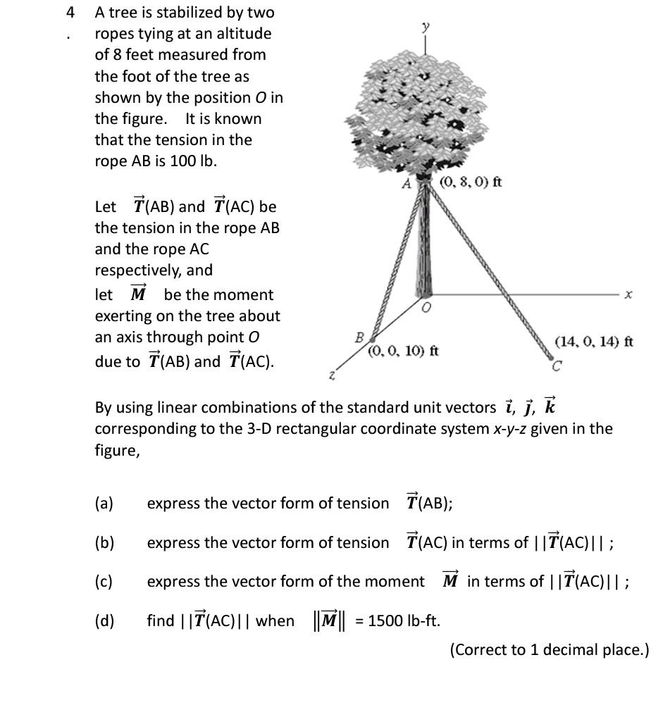 4 A Tree Is Stabilized By Two Ropes Tying At An Altitude Of 8 Feet Measured From The Foot Of The Tree As Shown By The Po 1